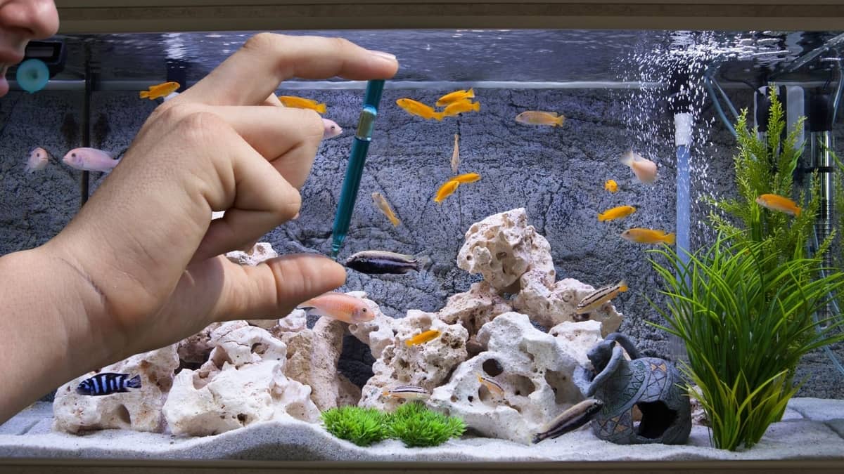 How To Lower KH In Aquarium 5 Best Tips And Tricks Our Aquariums