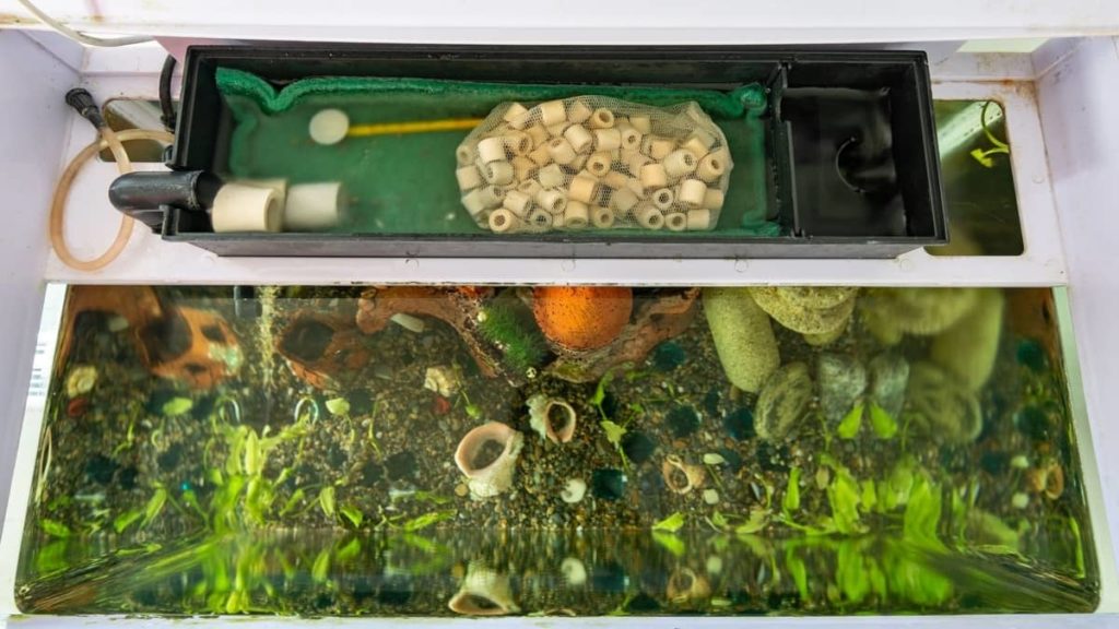 Freshwater Aquarium Filtration System