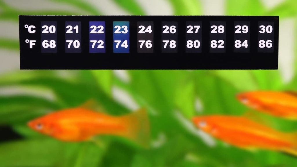 Most Accurate Aquarium Thermometer