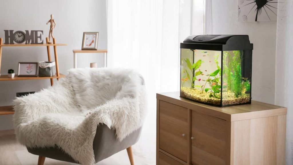 Aquarium Circulation Pump Vs Powerhead